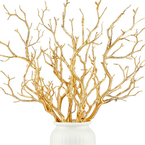 Inch small manzanita - inch,