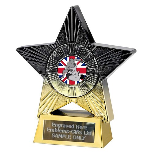 Mma cage fighting - cage, award