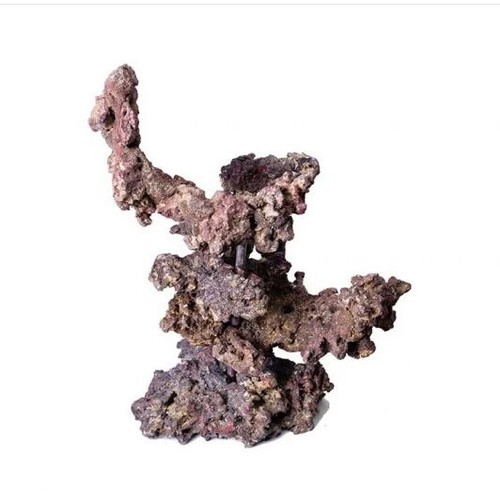 Caribsea coral tree - caribsea,