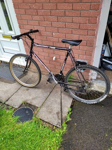 Gents large mountain bike - large,