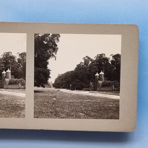 Stereoview card real - real, photo