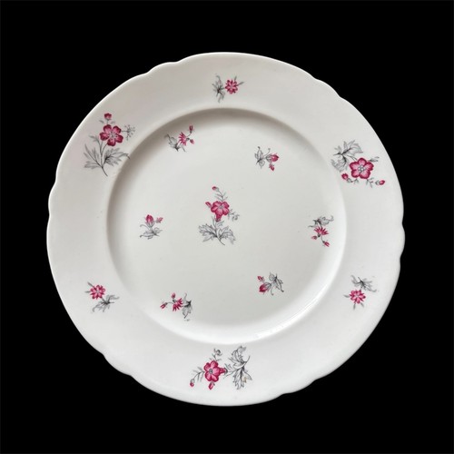 Vintage shelley china - shelley,