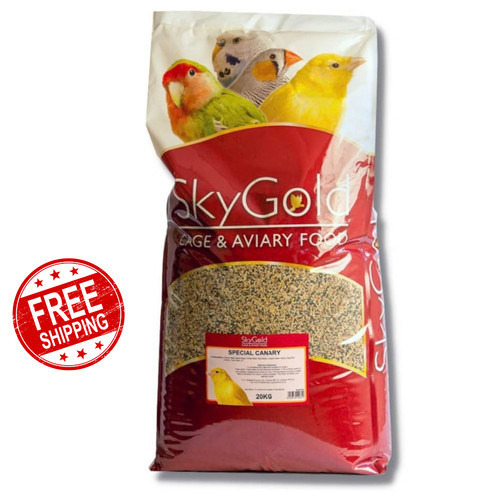 Skygold special canary bird - special,
