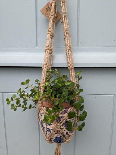 Macramé hanging basket plant - hanging,