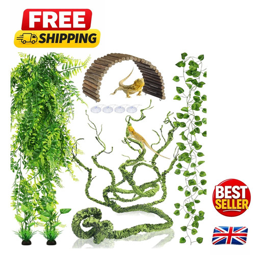 Realistic jungle climber vine - jungle,