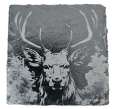 Animal Slate coaster Several