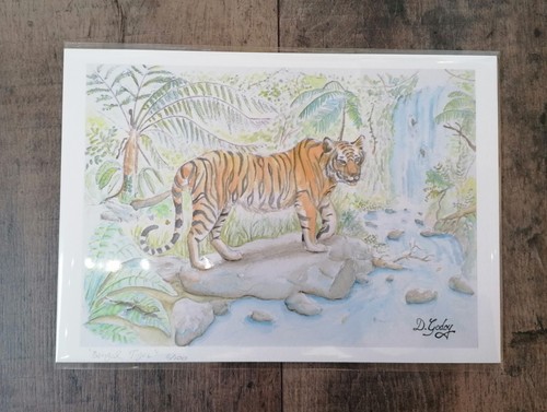 Limited edition unmounted - limited,