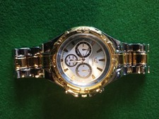 Orlando Mens watch. Brand New. Never Worn. Gold And Silver Look Chain.