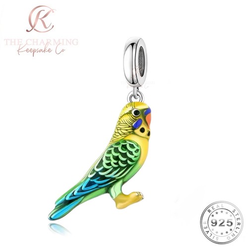 Budgie bird charm genuine 925 - budgie,
