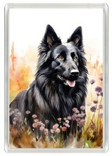 Belgian shepherd dog fridge - belgian,