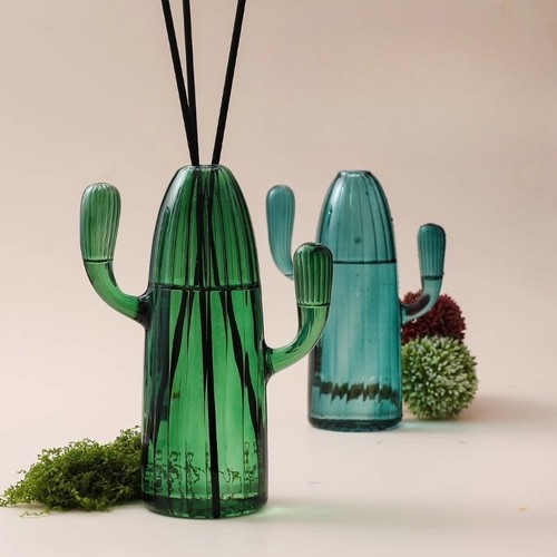 Creative cactus aroma reed - creative,