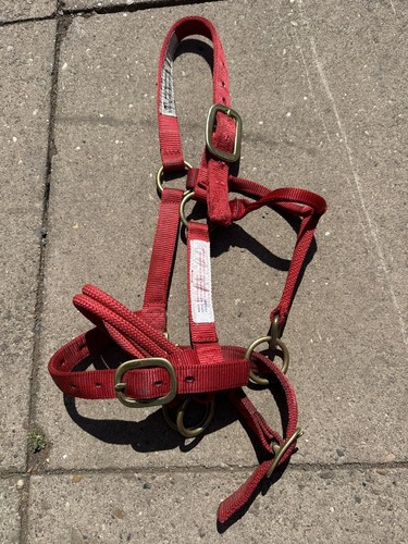 Monty roberts red controller - monty,