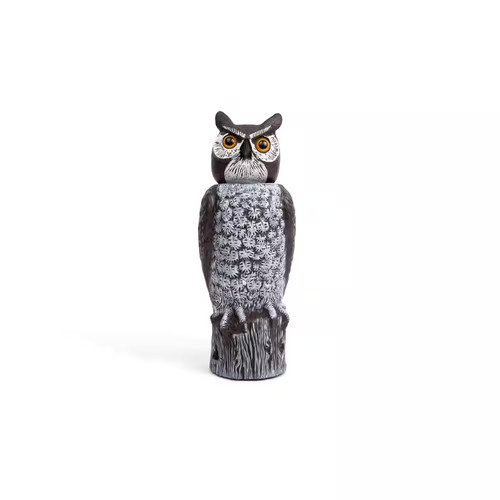 Rotating head owl - owl,