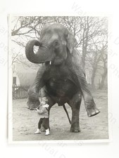Girl Marina Frankoni Elephant