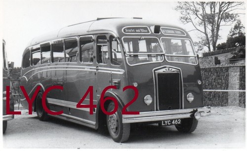 Scarlet minehead lyc462 albion - scarlet,