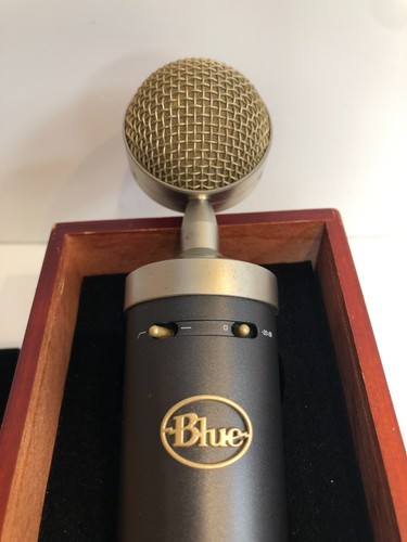 Bluebird studio condenser - studio,