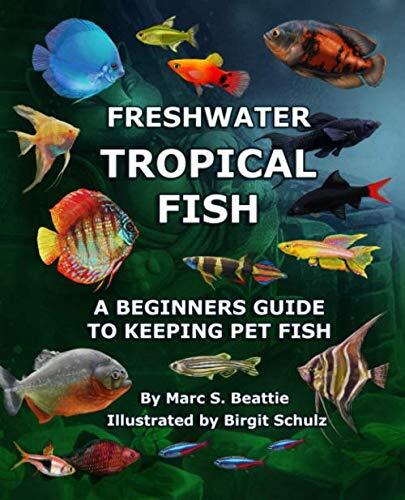 Freshwater tropical fish - freshwater,