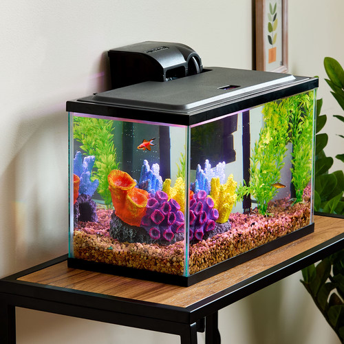 Vibrant life gallon aquarium - life,