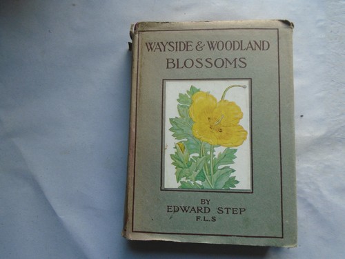 Wayside and woodland blossoms - wayside,
