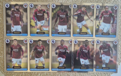 Topps merlin premier league - premier,