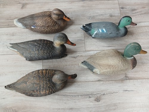 Mallard duck decoys - x,