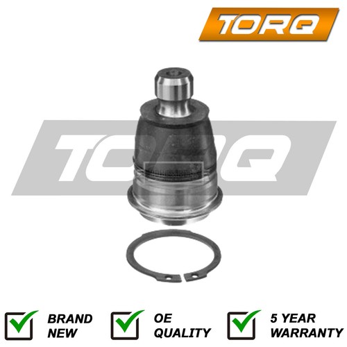 Ball joint front lower torq - lower,