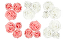 Sugarsoft Roses Edible Sugar