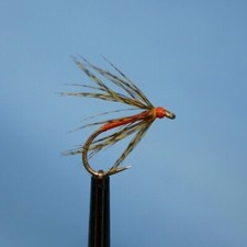 Spider Orange & Partridge