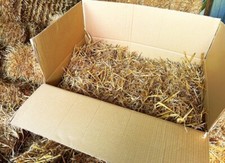 5KG Wheat Straw Bale