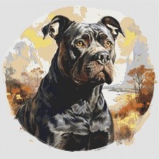 American Bully Puppy Dog