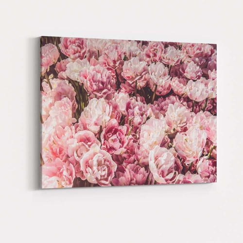 Canvas wall art - canvas, picture