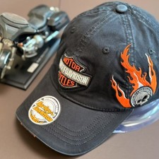 Harley davidson flame biker