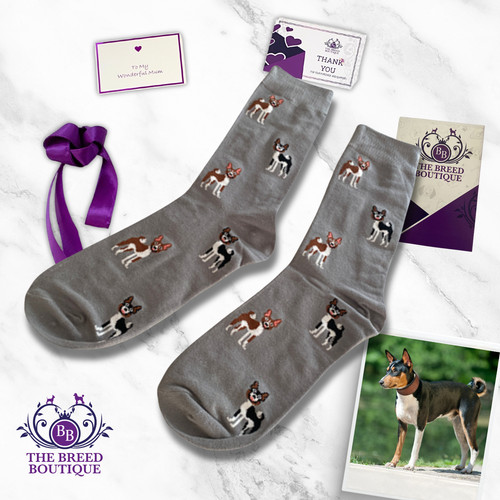 Basenji socks unisex - socks,