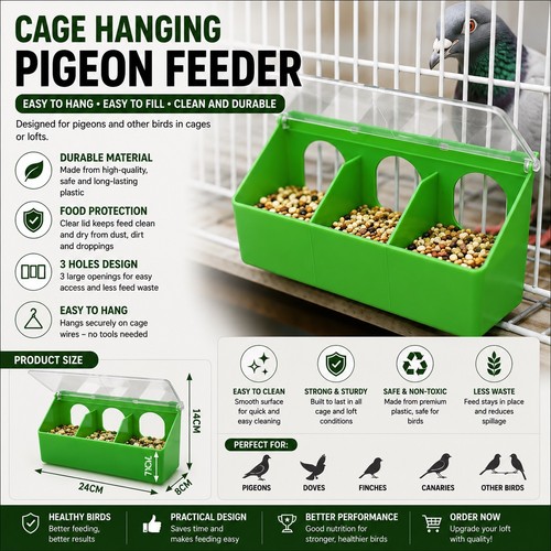 Pigeon feeder feeding dish - feeding,