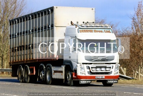 Truck photo beedie - truck,