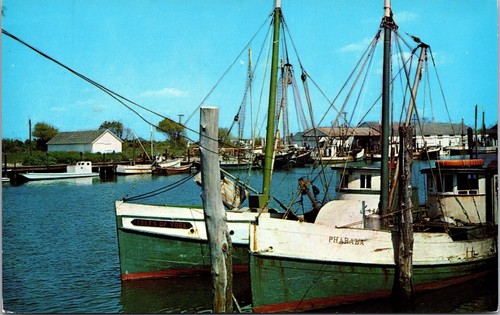 Ocean city commercial fishing - ocean,