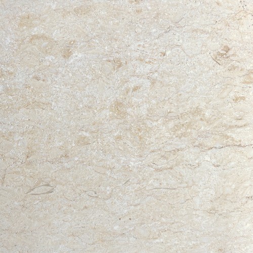 Luxor fossil tumbled - fossil,