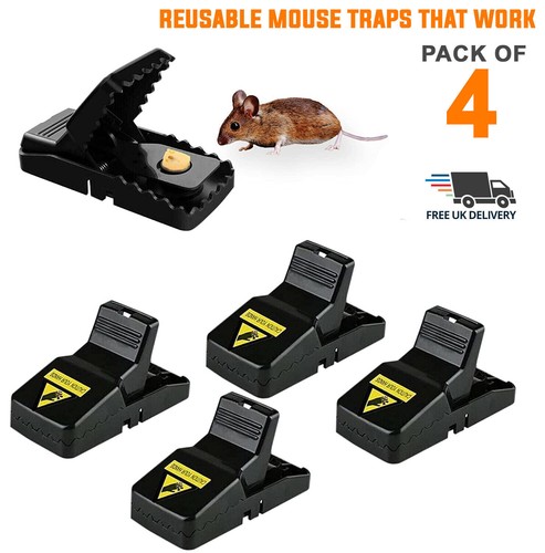 Mouse traps reusable - 4,
