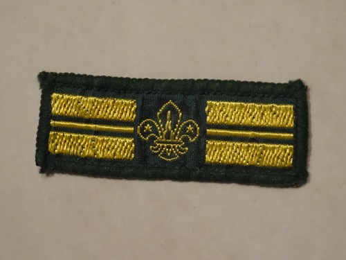 Senior patrol leader scout - senior,