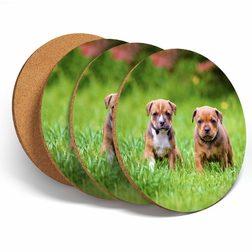 Set awesome staffy puppies - 4,