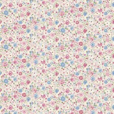 Sanderson Posy /Chintz roman