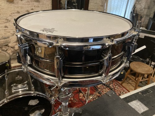 Ludwig black beauty - beauty, 14x5