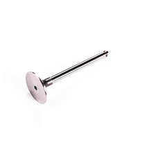 735820M1 Pack of 6 INLET VALVE