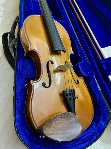 Violin stentor student i - student,