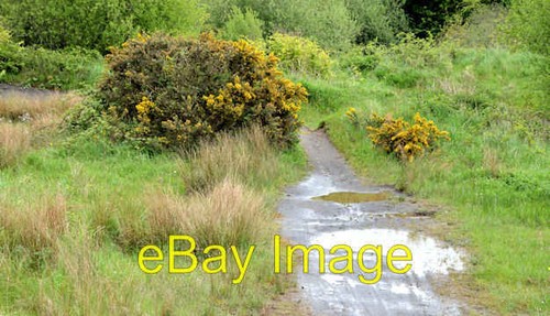 Photo 6x4 bmx - bmx, lambeg
