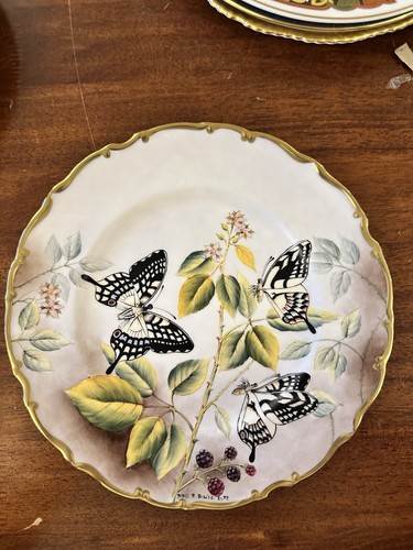 Exotic butterflies decorative - exotic,