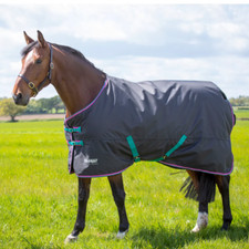 Shires Tempest Original 300g