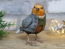 Robin In A Suit  Garden Home