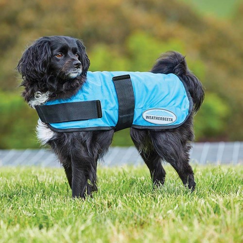 Weatherbeeta therapy tec - weatherbeeta, therapy-tec