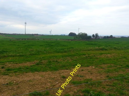 Photo 6x4 grazing - photo, land